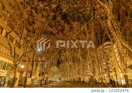 2024 SENDAI光のページェントのイルミネーション 宮城県仙台市 2024 SENDAI光のページェントのイルミネーション 宮城県仙台市 121052478