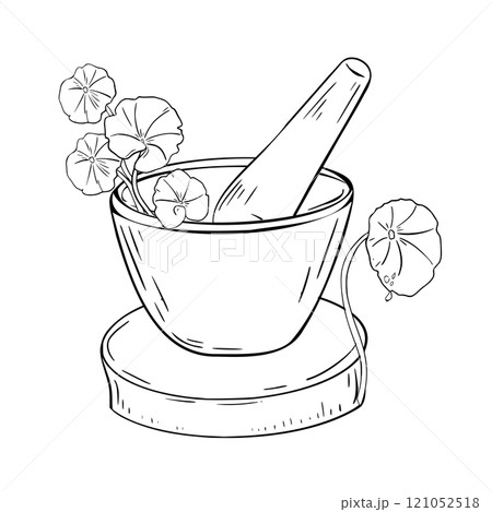 Stone mortar and pestle on wooden stand with healing herb black white vector illustration on white. Centella asiatica skincare plants hand drawn outline for design label ayurvedic medicine. 121052518