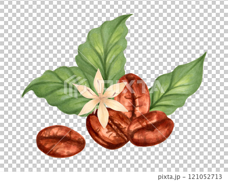 Coffee bean composition with leaves and flower. Robusta and Arabica varieties clipart. Watercolor and marker illustration. Hand drawn isolated art. Coffee day. Production, harvest, caffeinated drink. 121052713