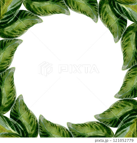 Green leaves and foliage form a nature-inspired frame. Foliage in soft green hues encircles the frame. Nature elegance captured in minimalist style. Ideal for modern, organic design projects Green leaves and foliage form a nature-inspired frame. Foliage in soft green hues encircles the frame. Nature elegance captured in minimalist style. Ideal for modern, organic design projects 121052779