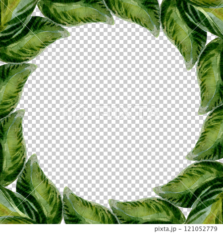 Green leaves and foliage form a nature-inspired frame. Foliage in soft green hues encircles the frame. Nature elegance captured in minimalist style. Ideal for modern, organic design projects Green leaves and foliage form a nature-inspired frame. Foliage in soft green hues encircles the frame. Nature elegance captured in minimalist style. Ideal for modern, organic design projects 121052779