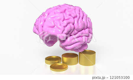 The Brain and coins for Business concept 3d rendering. 121053100