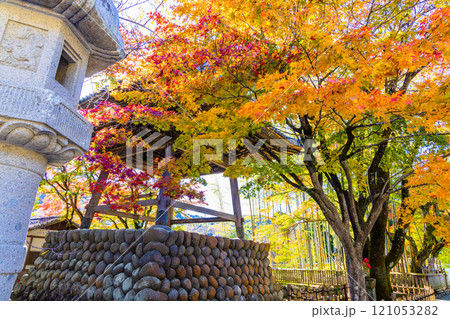 【静岡県_伊豆市_修善寺】修善寺温泉の秋 11月 121053282