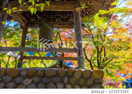 【静岡県_伊豆市_修善寺】修善寺温泉の秋 11月 【静岡県_伊豆市_修善寺】修善寺温泉の秋 11月 121053283