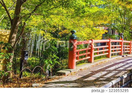 【静岡県_伊豆市_修善寺】修善寺温泉の秋 11月 【静岡県_伊豆市_修善寺】修善寺温泉の秋 11月 121053295