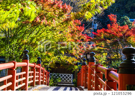 【静岡県_伊豆市_修善寺】修善寺温泉の秋 11月 121053296