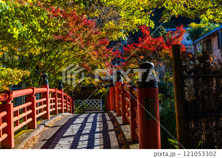 【静岡県_伊豆市_修善寺】修善寺温泉の秋 11月 【静岡県_伊豆市_修善寺】修善寺温泉の秋 11月 121053302