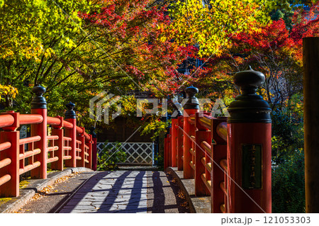 【静岡県_伊豆市_修善寺】修善寺温泉の秋 11月 【静岡県_伊豆市_修善寺】修善寺温泉の秋 11月 121053303