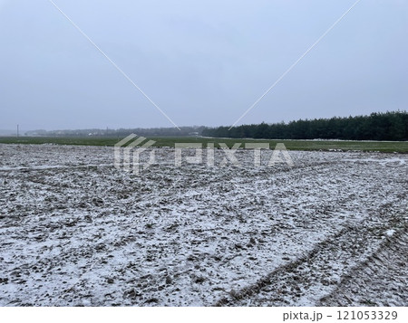 Snow-covered field in a rural village 121053329
