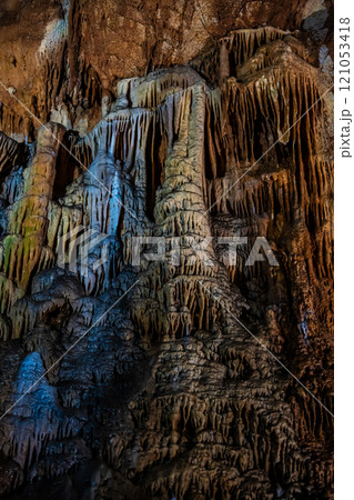 秋芳洞 クラゲの滝のぼり【山口県美祢市】 秋芳洞 クラゲの滝のぼり【山口県美祢市】 121053418
