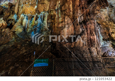 秋芳洞　クラゲの滝のぼり【山口県美祢市】 121053422