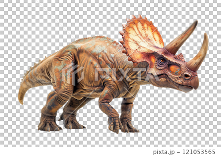 Triceratops is a genus of herbivorous dinosaurs from the ceratopsid family that existed at the end of the Maastrichtian century of the Cretaceous period. 121053565