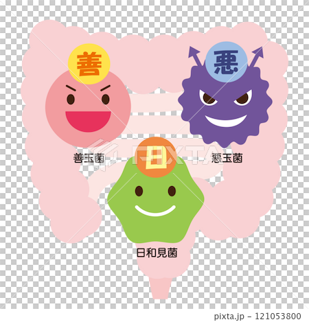 腸内細菌 善玉菌 悪玉菌 日和見菌のイラスト素材 [121053800] - PIXTA