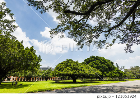 Beautiful view of the large Banyan Garden on the National Cheng Kung University (NCKU) campus in Tainan, Taiwan. 121053924