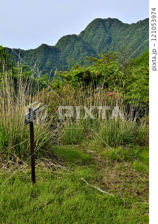 御坂山地の大石峠より十二ヶ岳を望む 121053974