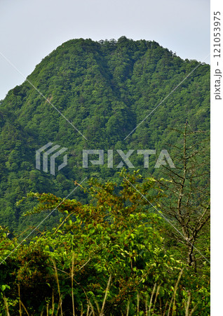御坂山地の大石峠より十二ヶ岳を望む 121053975