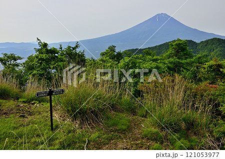 御坂山地 若彦路街道古道の大石峠より望む初夏の富士山 御坂山地 若彦路街道古道の大石峠より望む初夏の富士山 121053977