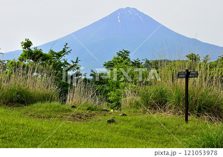 御坂山地　草原の大石峠より初夏の頃の富士山を望む 121053978