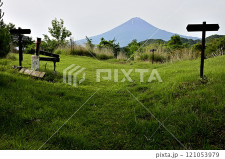 御坂山地 草原の大石峠より初夏の頃の富士山を望む 御坂山地 草原の大石峠より初夏の頃の富士山を望む 121053979