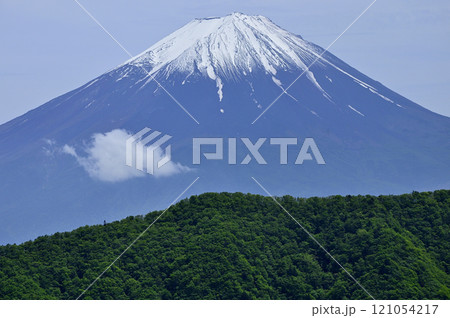 御坂山地の釈迦ヶ岳山頂より　春の姿をした富士山を望む 121054217