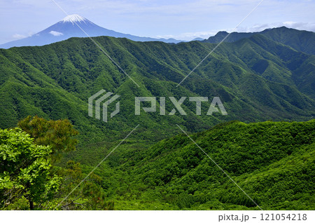 御坂山地の釈迦ヶ岳山頂から　春の富士山と新緑の山地 121054218