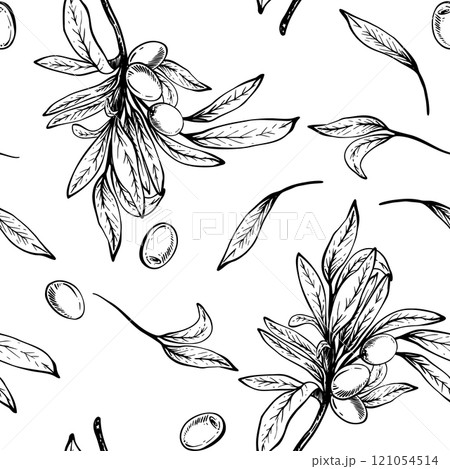 Olive tree branch, leaves and berries seamless pattern. Botanical hand drawn vector linear drawing illustration. Floral clipart for fabric, package, wallpaper, food packaging. Isolated from background Olive tree branch, leaves and berries seamless pattern. Botanical hand drawn vector linear drawing illustration. Floral clipart for fabric, package, wallpaper, food packaging. Isolated from background 121054514