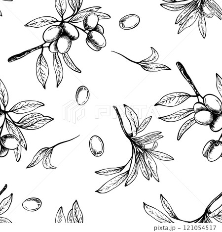 Olive tree branch with leaves and berries fruit vector seamless pattern. Black and white linear drawing hand drawn illustration. Botanical clipart for fabric, wallpaper print. Isolated from background Olive tree branch with leaves and berries fruit vector seamless pattern. Black and white linear drawing hand drawn illustration. Botanical clipart for fabric, wallpaper print. Isolated from background 121054517