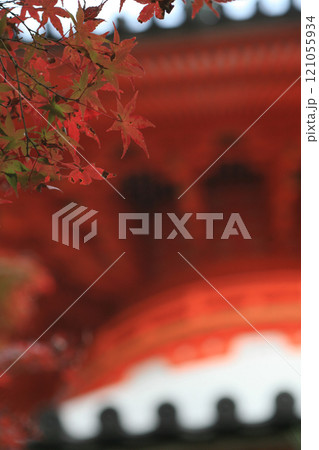 真っ赤な紅葉と多宝塔 121055934