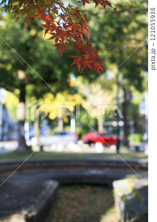 公園の紅葉したもみじと赤いスポーツカー 公園の紅葉したもみじと赤いスポーツカー 121055938
