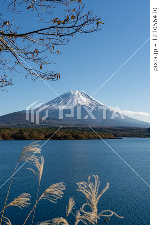 紅葉と冠雪した秋の富士山　山中湖側 121056410