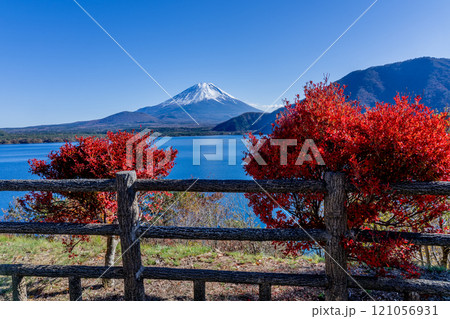紅葉と冠雪した秋の富士山　本栖湖側 121056931