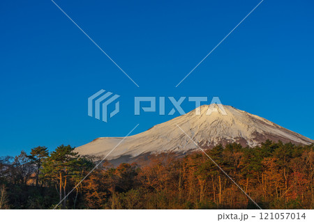 紅葉と冠雪した秋の富士山　道の駅 すばしり側 121057014