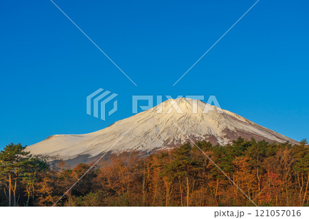 紅葉と冠雪した秋の富士山　道の駅 すばしり側 121057016