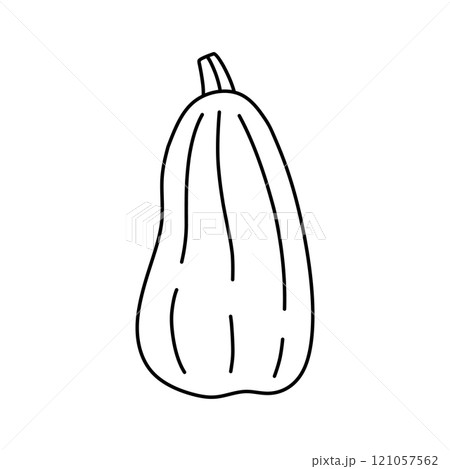 Pumpkin doodle 121057562