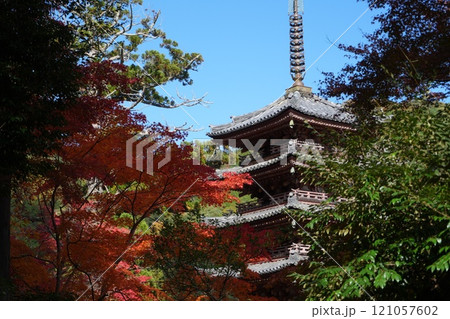 秋の海住山寺 五重塔 秋の海住山寺 五重塔 121057602