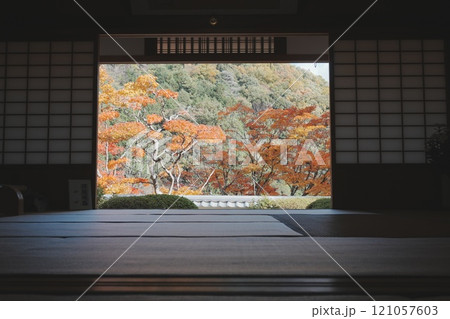 秋の海住山寺　日本庭園 121057603