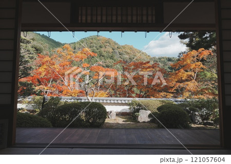 秋の海住山寺 日本庭園 秋の海住山寺 日本庭園 121057604