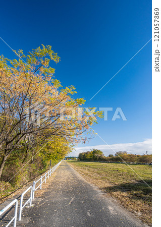 淀川河川公園沿いの遊歩道　大阪府寝屋川市 121057869