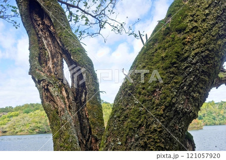 今年の一碧湖の中秋の景色 今年の一碧湖の中秋の景色 121057920