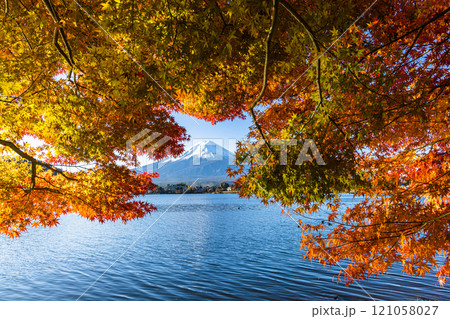 【山梨県_富士山_河口湖】秋の河口湖と富士山 11月 121058027