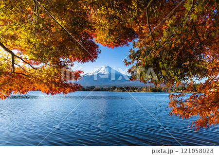 【山梨県_富士山_河口湖】秋の河口湖と富士山 11月 121058028