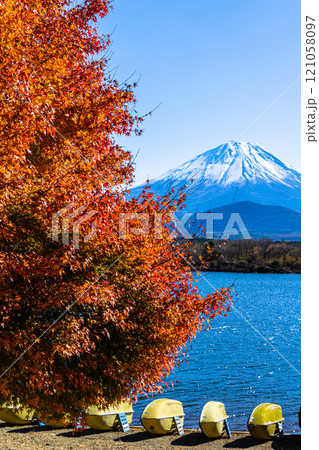 【山梨県_富士山_精進湖】紅葉と富士山 11月 【山梨県_富士山_精進湖】紅葉と富士山 11月 121058097