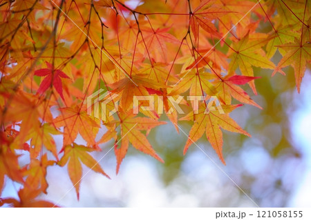 日本のイメージ・奈良15 121058155