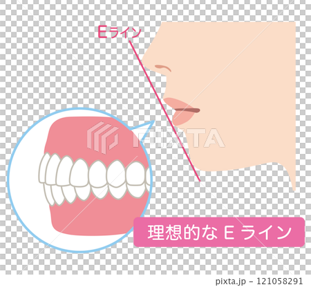理想的なEライン 横顔 理想的なEライン 横顔 121058291