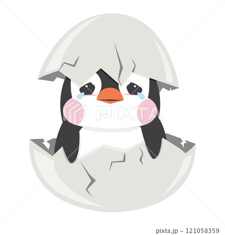 penguin that is hatching out of a white egg penguin that is hatching out of a white egg 121058359