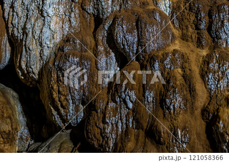 秋芳洞　南瓜岩【山口県美祢市】 121058366