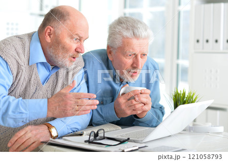 Portrait of two elderly men working on laptop in office Portrait of two elderly men working on laptop in office 121058793