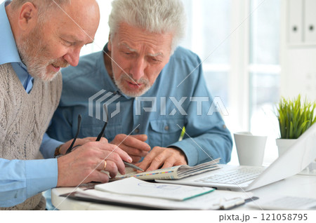 Portrait of two elderly men working on laptop in office 121058795