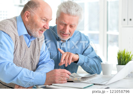 Portrait of two elderly men working on laptop in office Portrait of two elderly men working on laptop in office 121058796