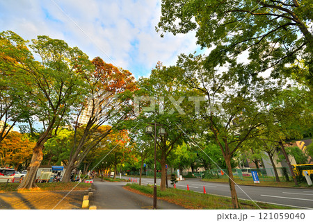 《愛知県》名古屋都市風景 秋の若宮大通と紅葉の白川公園 《愛知県》名古屋都市風景 秋の若宮大通と紅葉の白川公園 121059040